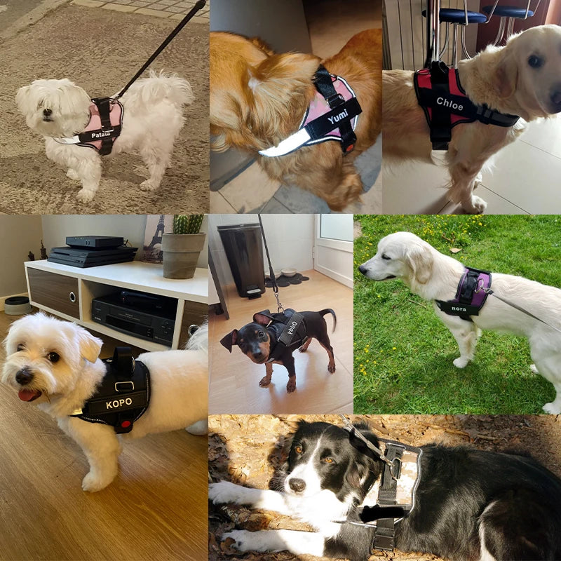 Personalized Reflective Dog Harness