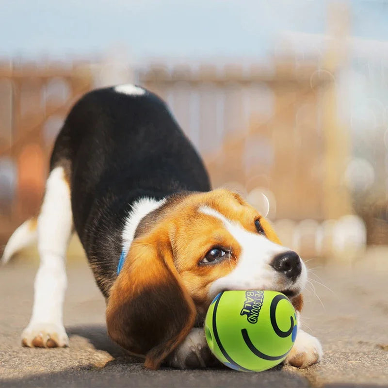 Interactive Dog Ball