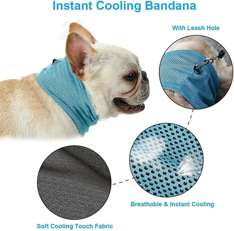 Summer Cooling Bandana for Dogs