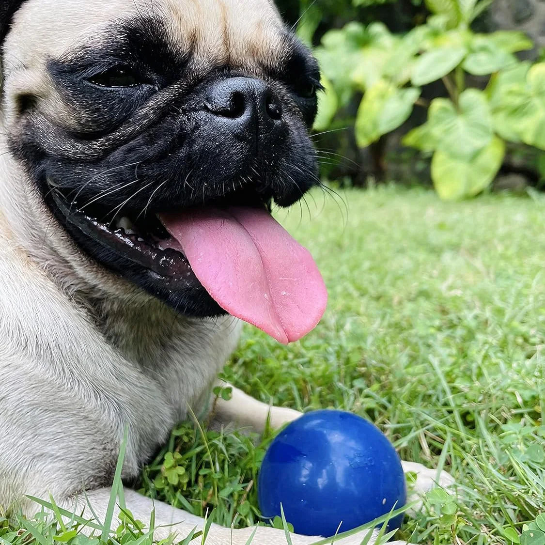 Super Chewy Tough Dog Ball Toy
