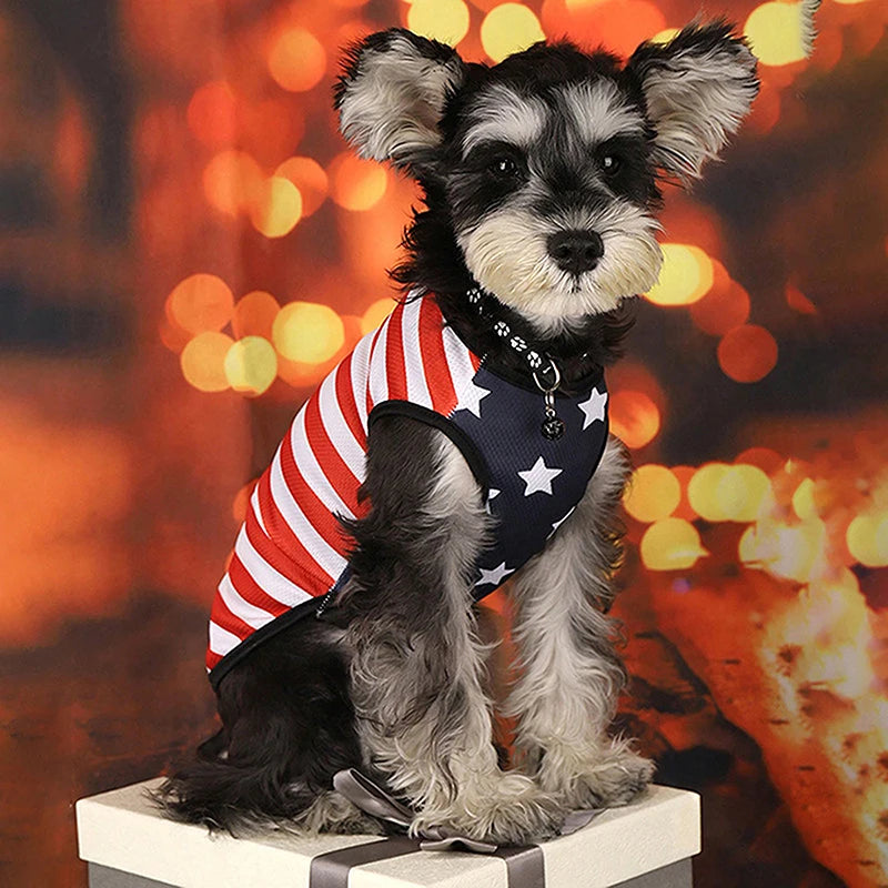 American Flag Dog Bandana Scarf Set