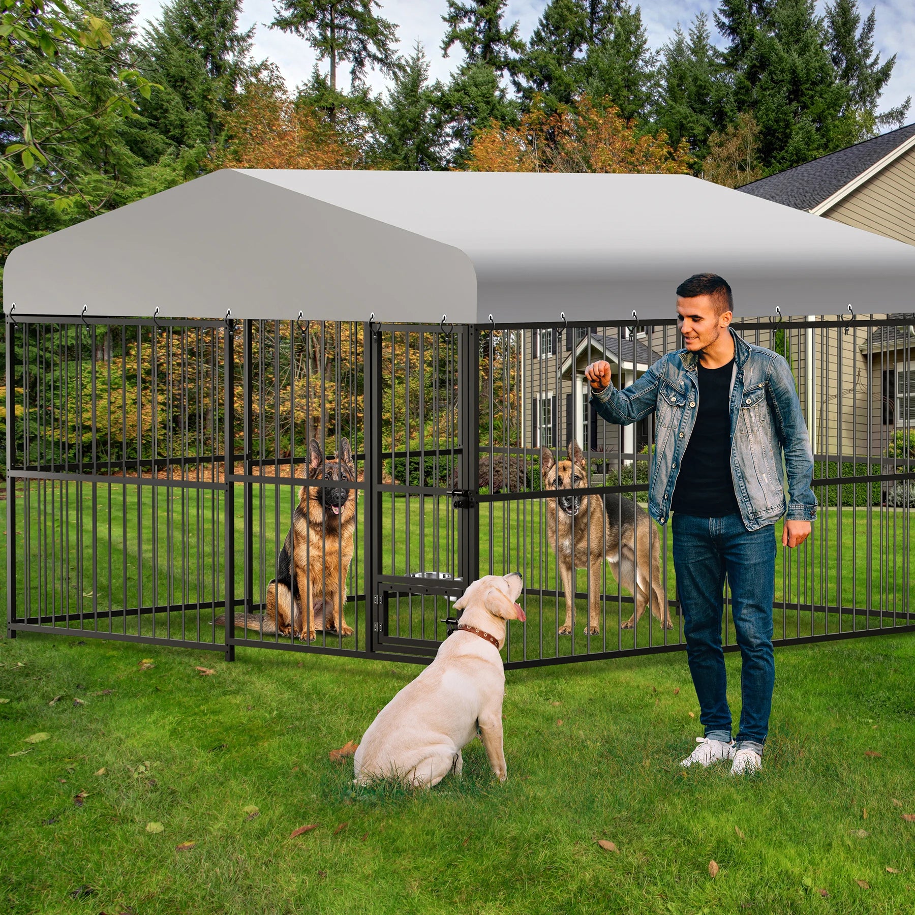 Outdoor Dog Kennel with Safety Locks & Cover