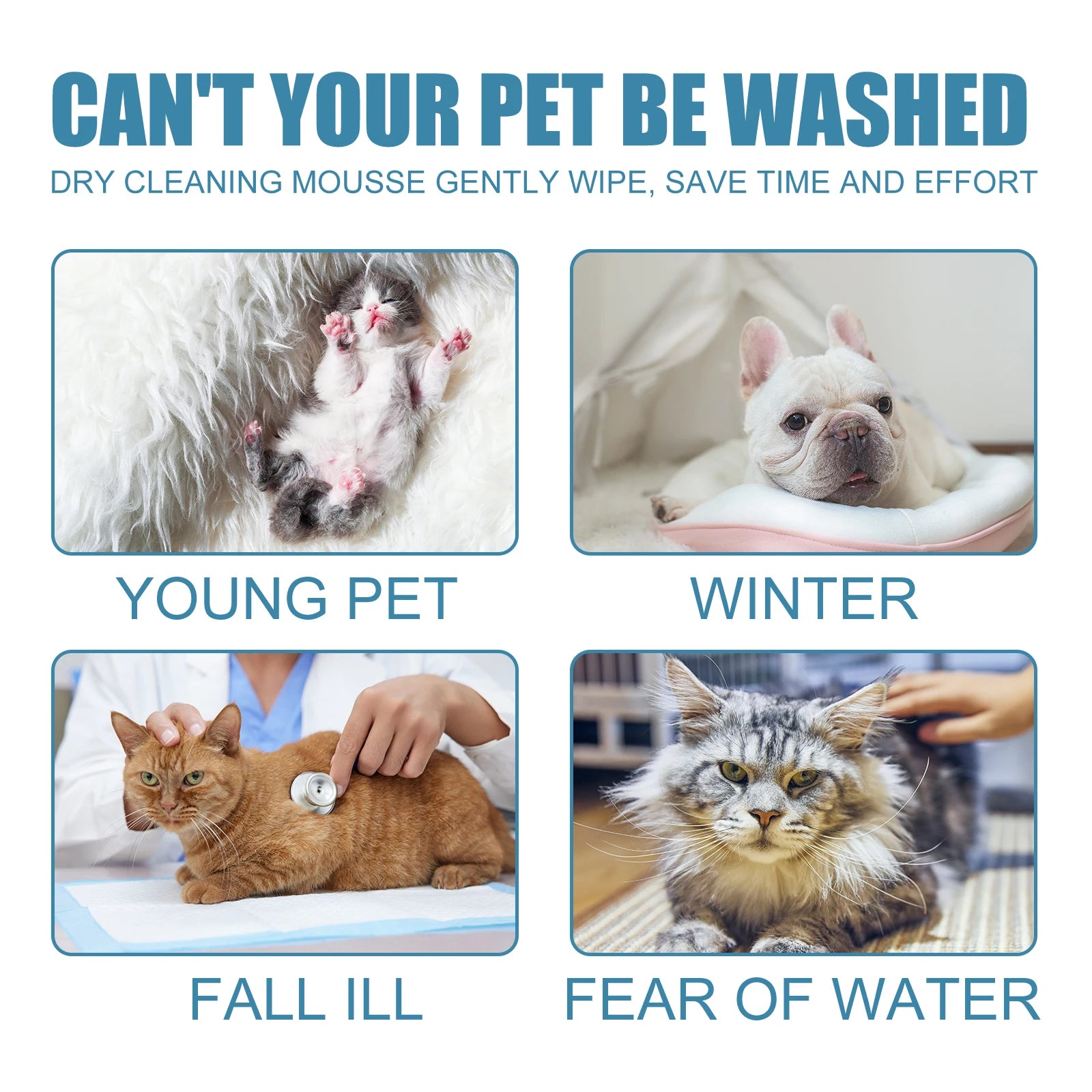Pet Deodorizing Shampoo Waterless Body Wash