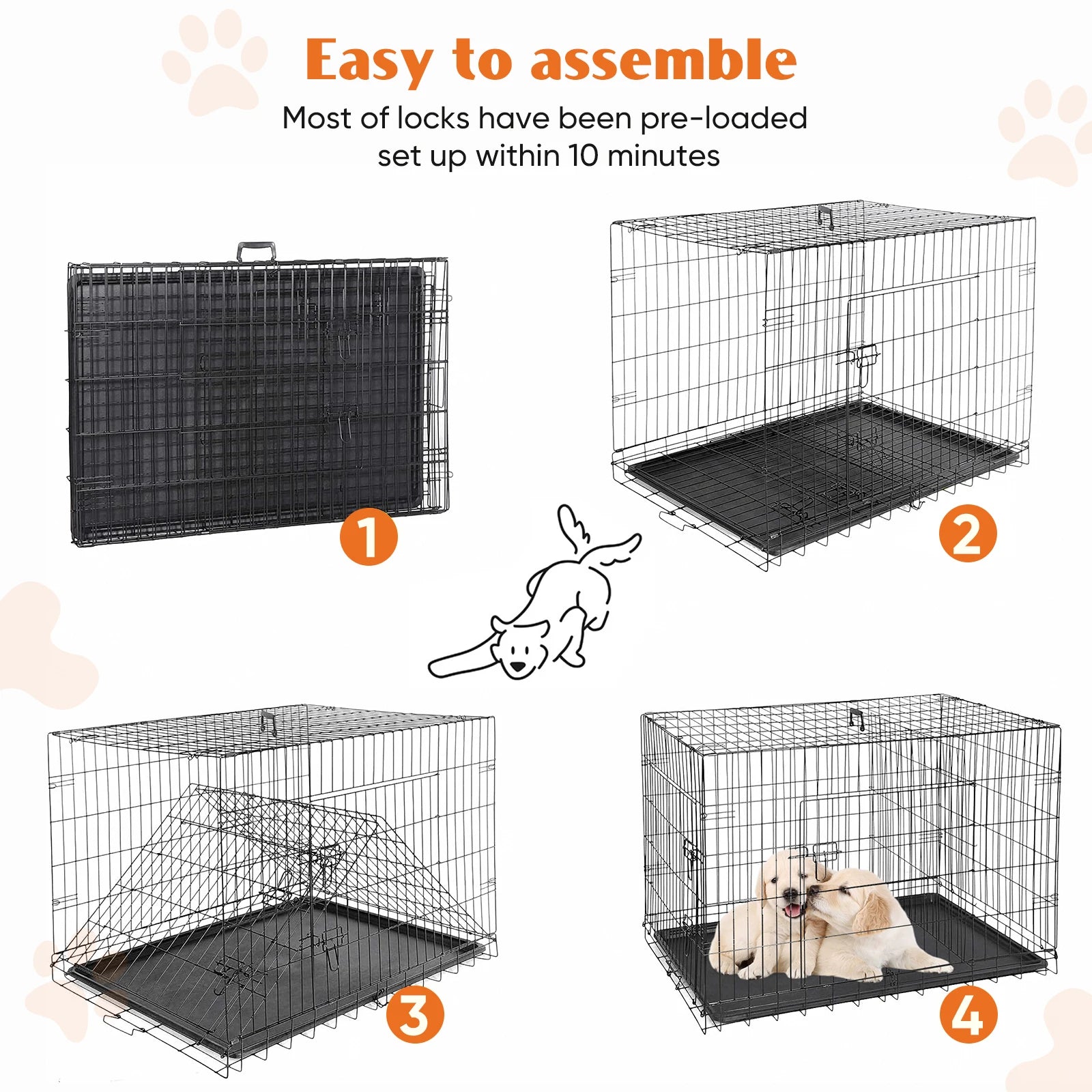 Double Door Folding Metal Wire Dog Crate