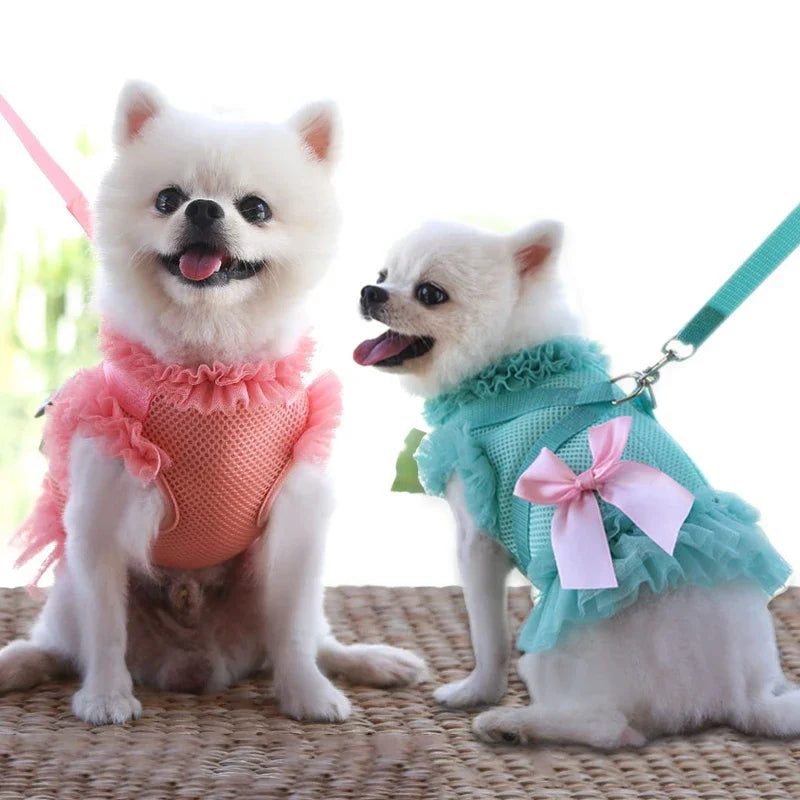 Pet Dress Harness Leash Set