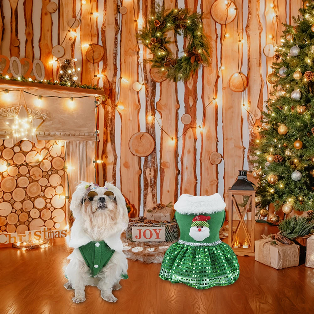 Dog Christmas Costume