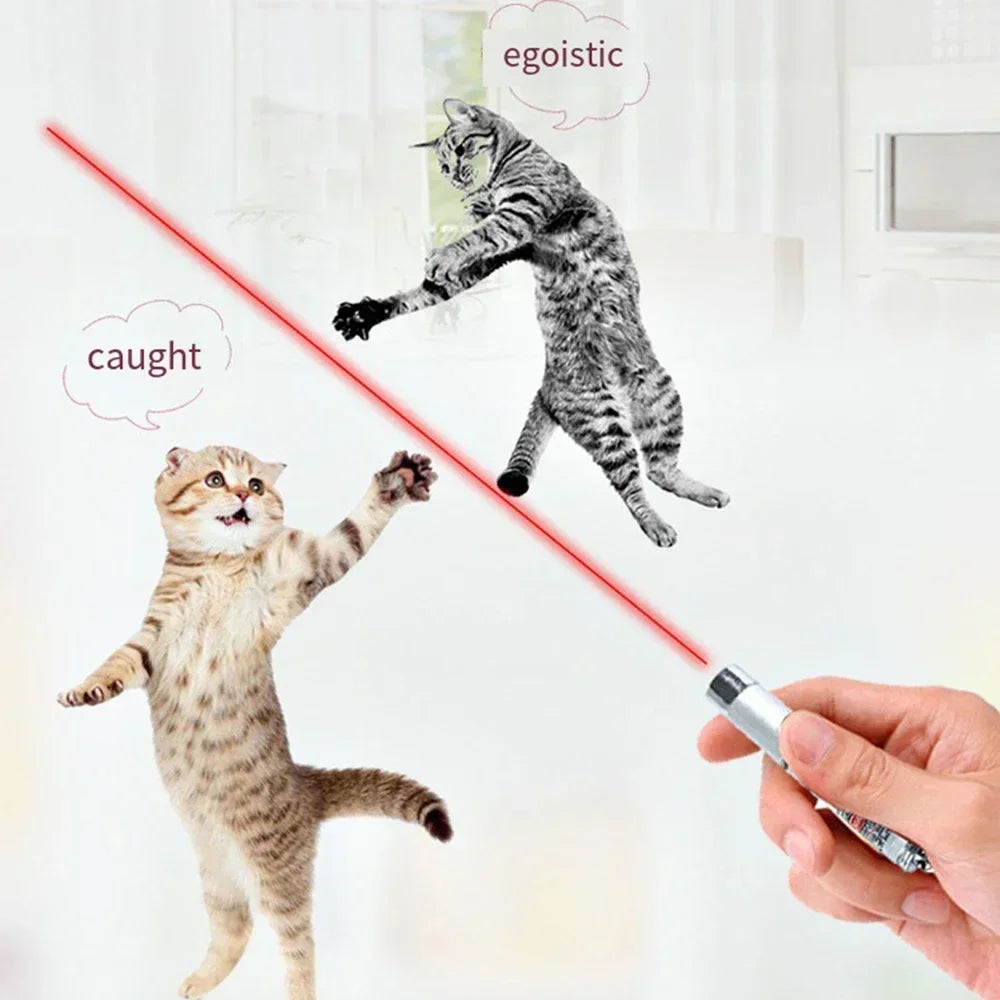 Laser Pointer Interactive Toy