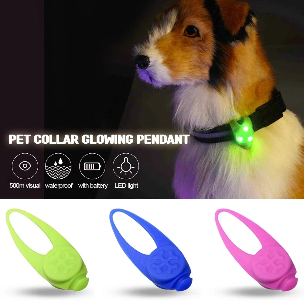 Pet Led Silicone Pendant
