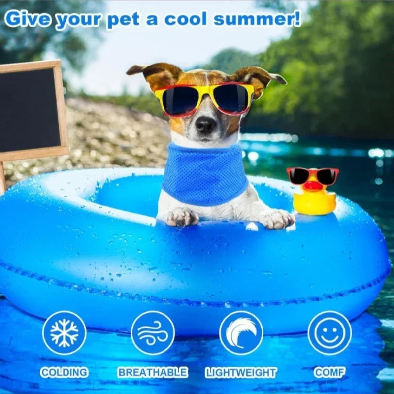 Summer Pet Cooling Collar