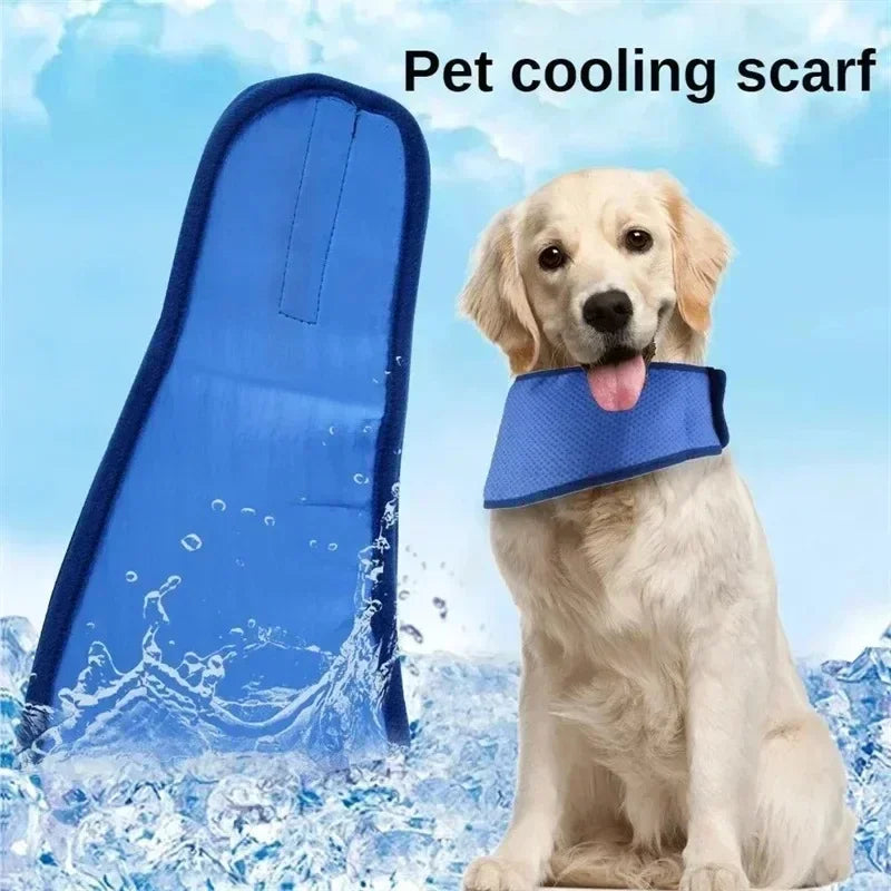Summer Pet Cooling Collar