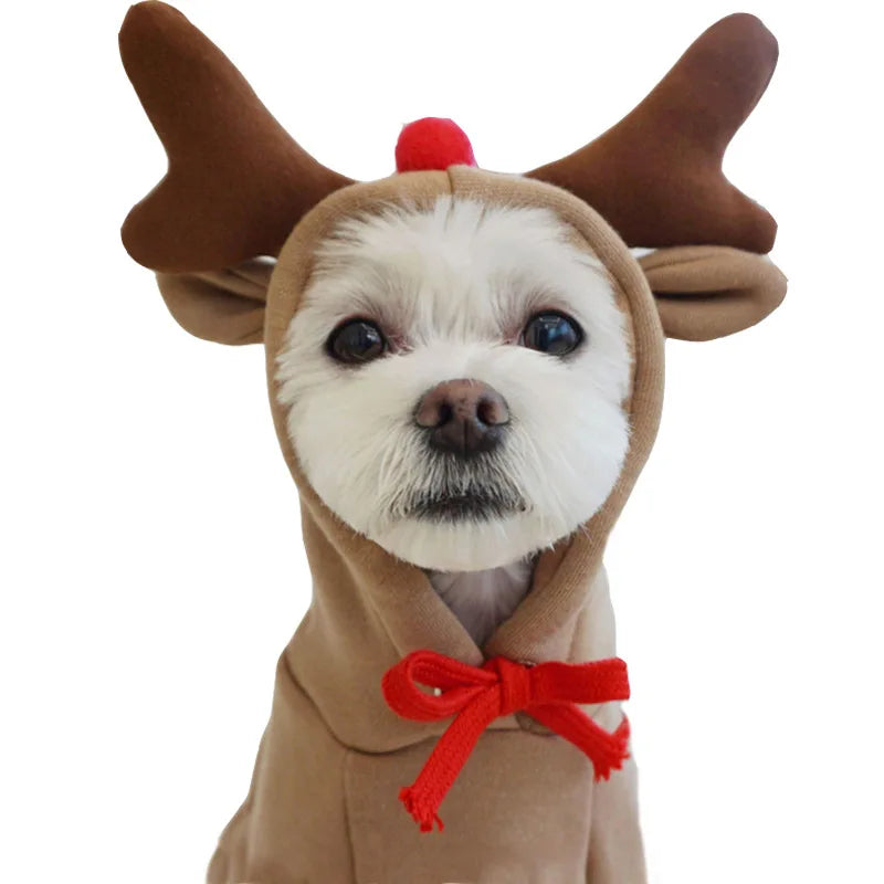 Plush Coat Hoodies For Puppy Cat