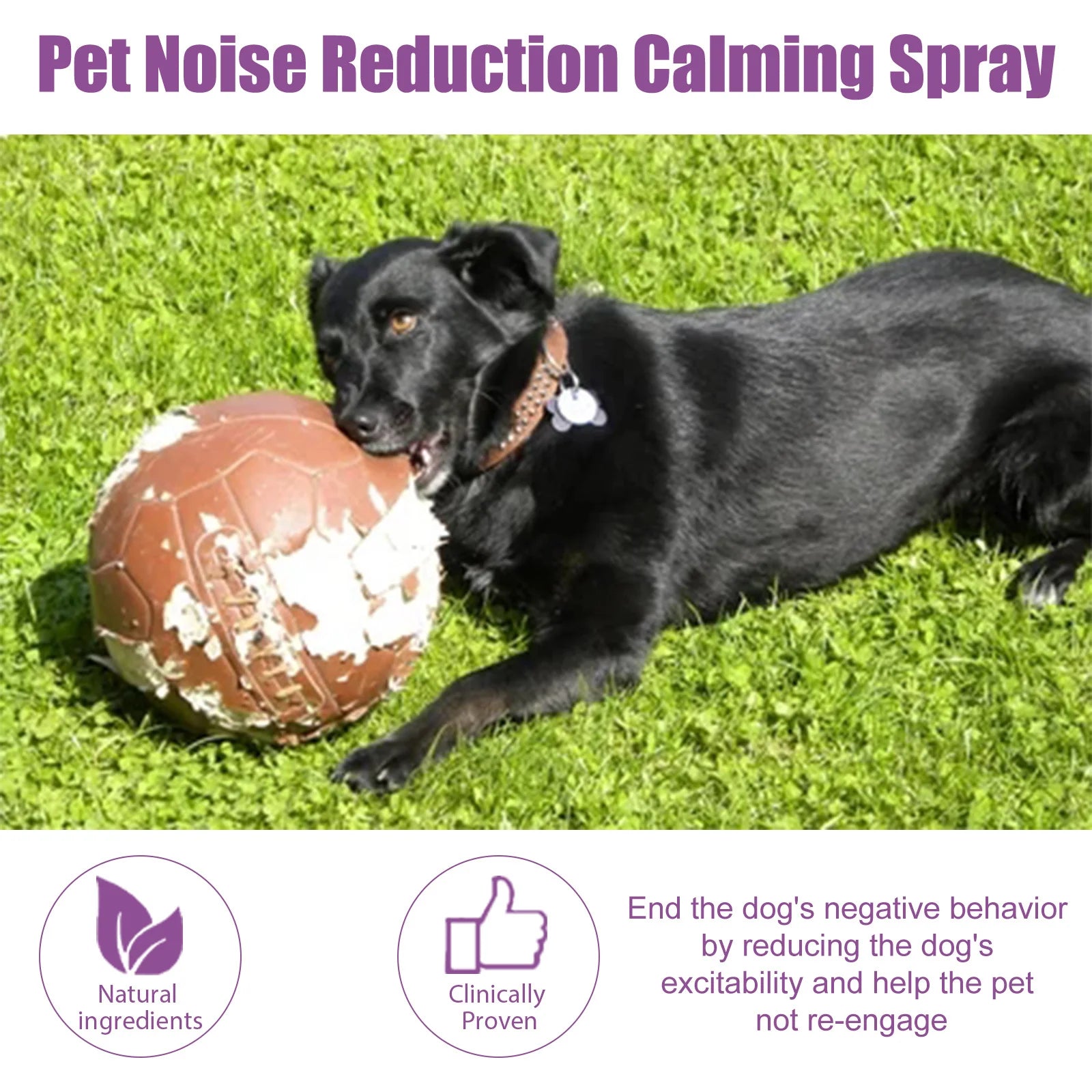 Reduce Excitability Pet Spray Relief