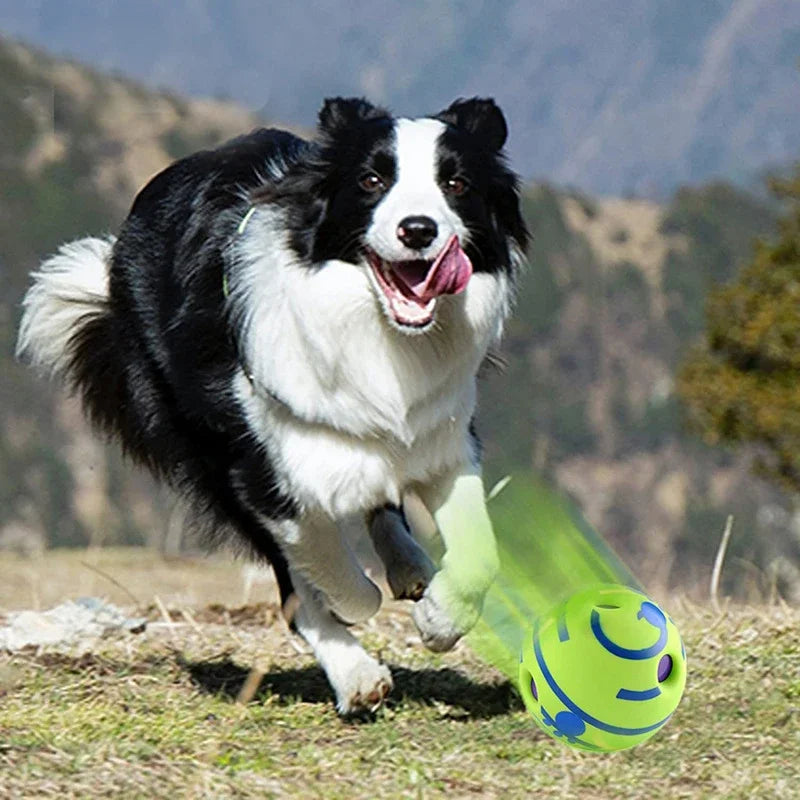 Interactive Dog Ball