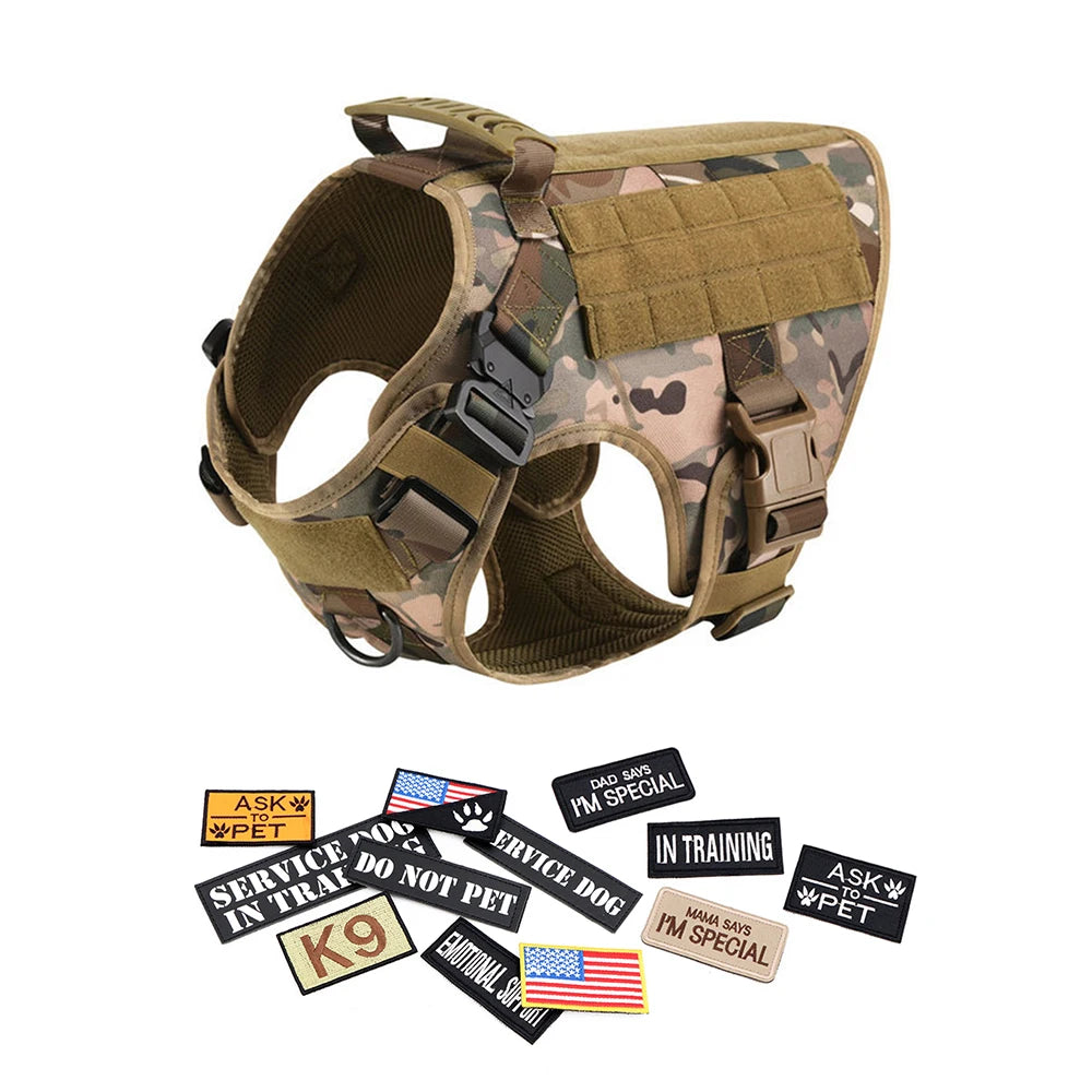 Large Dog Harness and Collar
