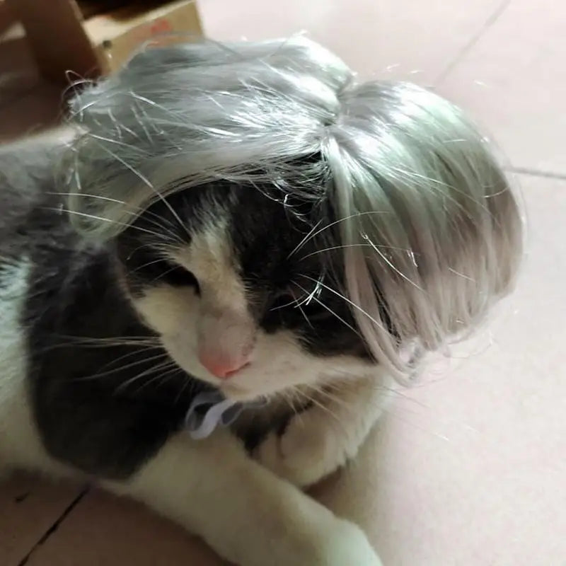 Wigs For Pets Costume Apparel