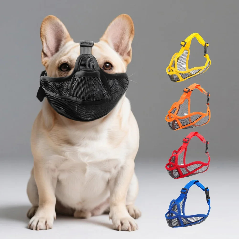 Short-Snouted Dog Muzzle