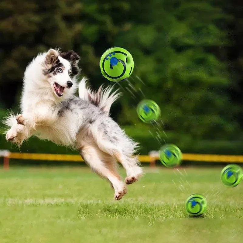 Interactive Dog Ball