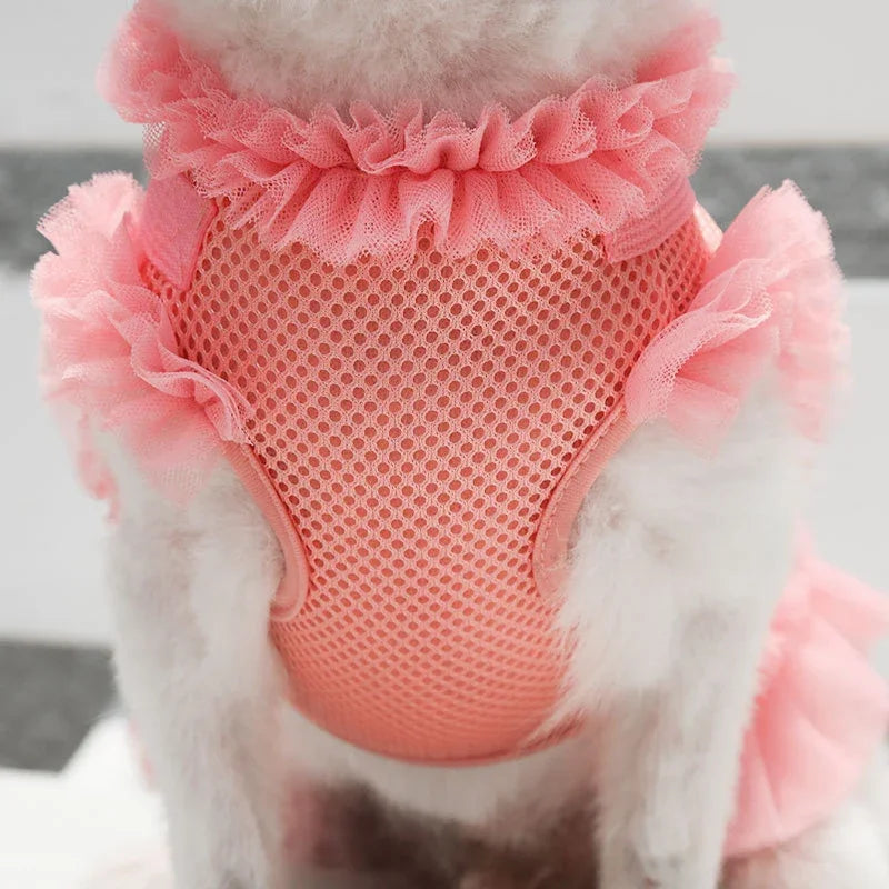 Pet Dress Harness Leash Set