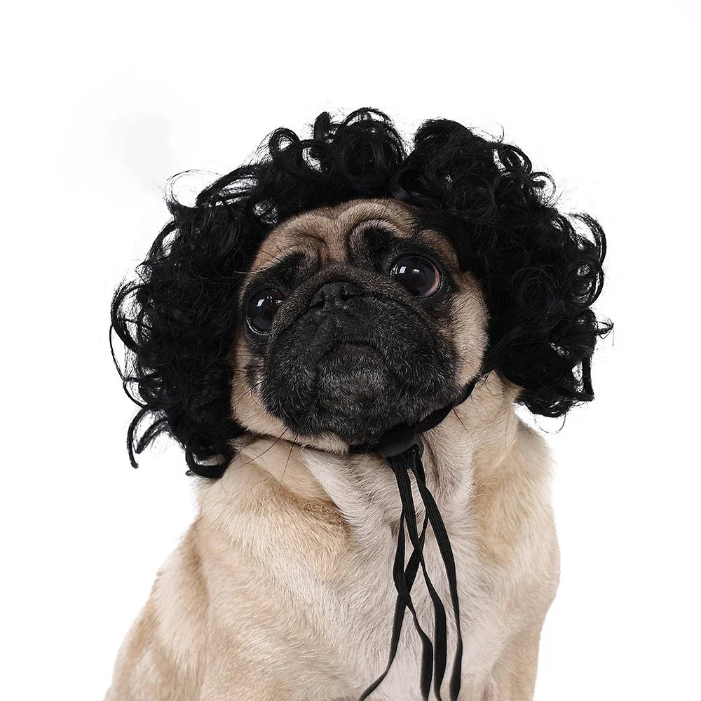 Dog Wigs
