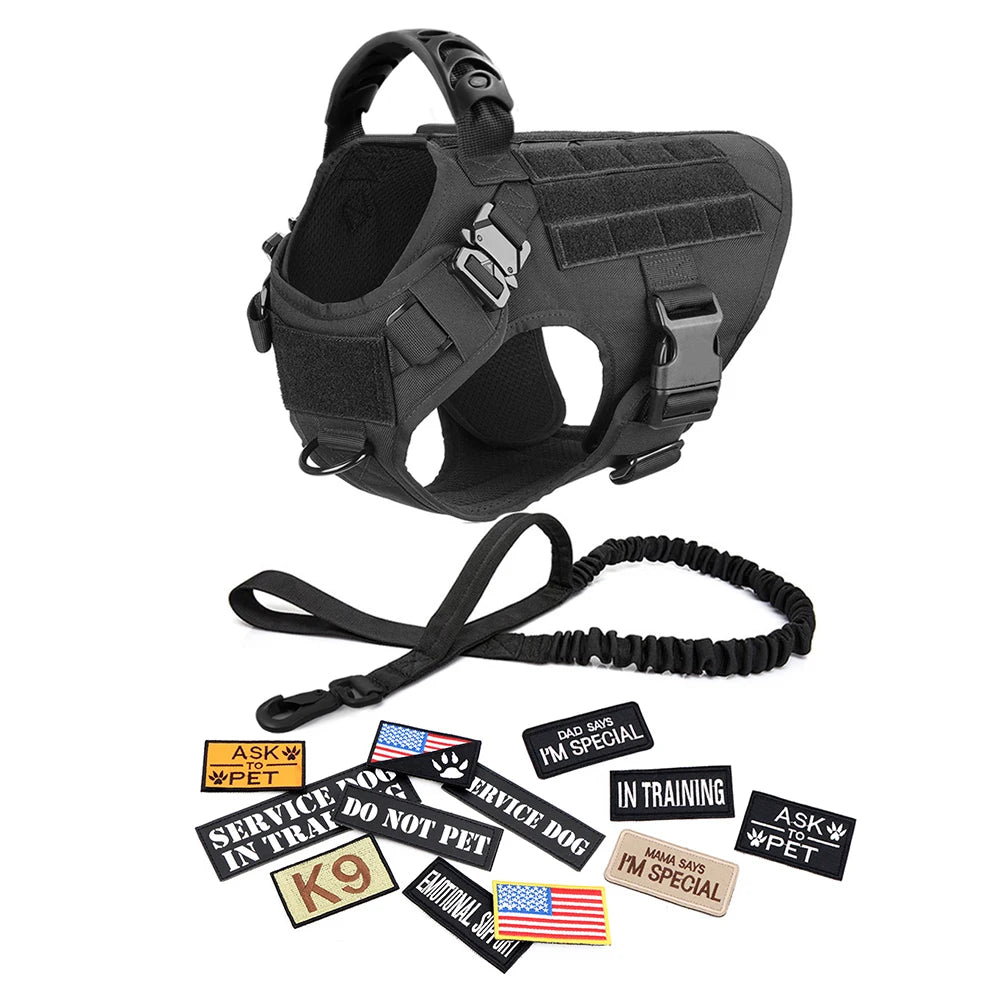 Large Dog Harness and Collar