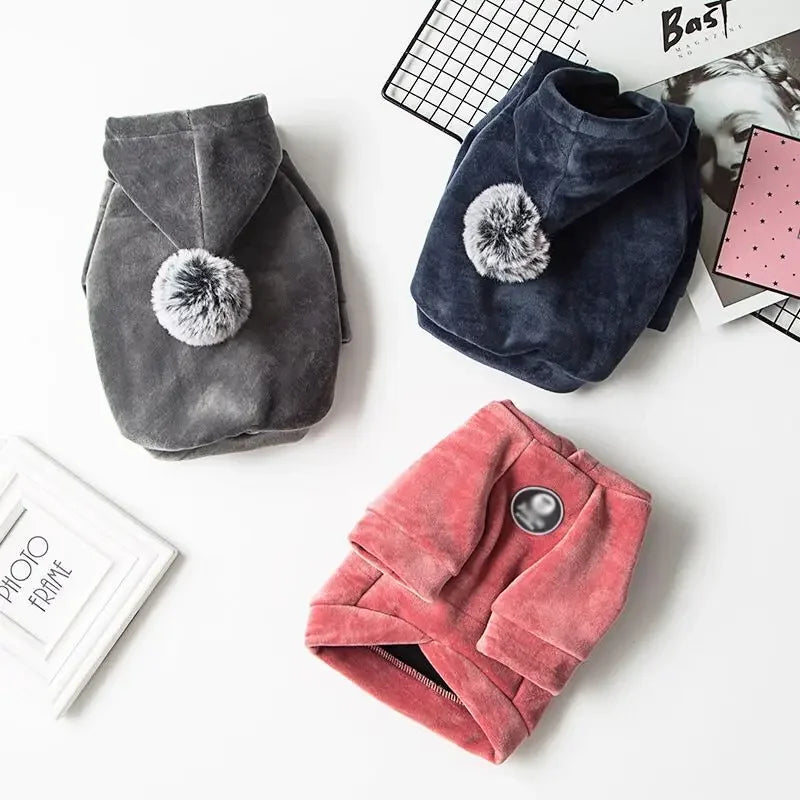 Winter Hoodies for Small Dogs