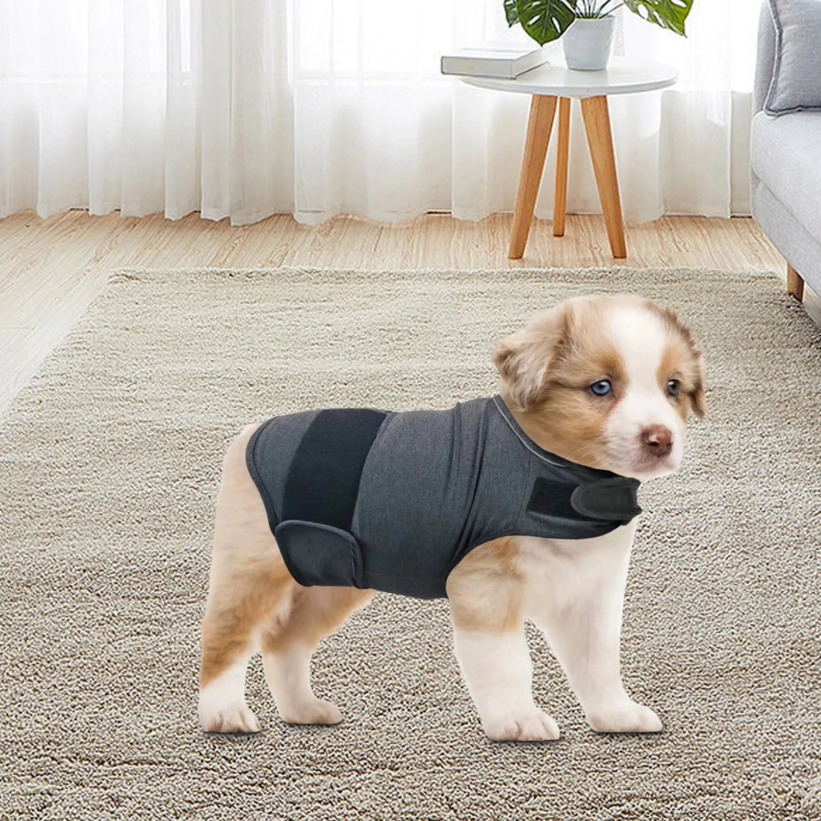 Dog Anxiety Jacket