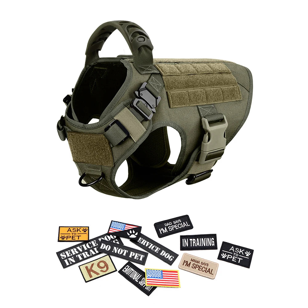 Large Dog Harness and Collar
