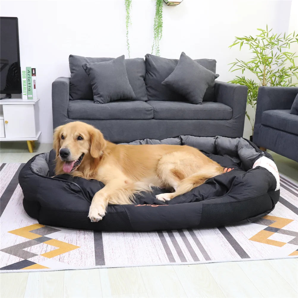 Dog Bed for All Seasons