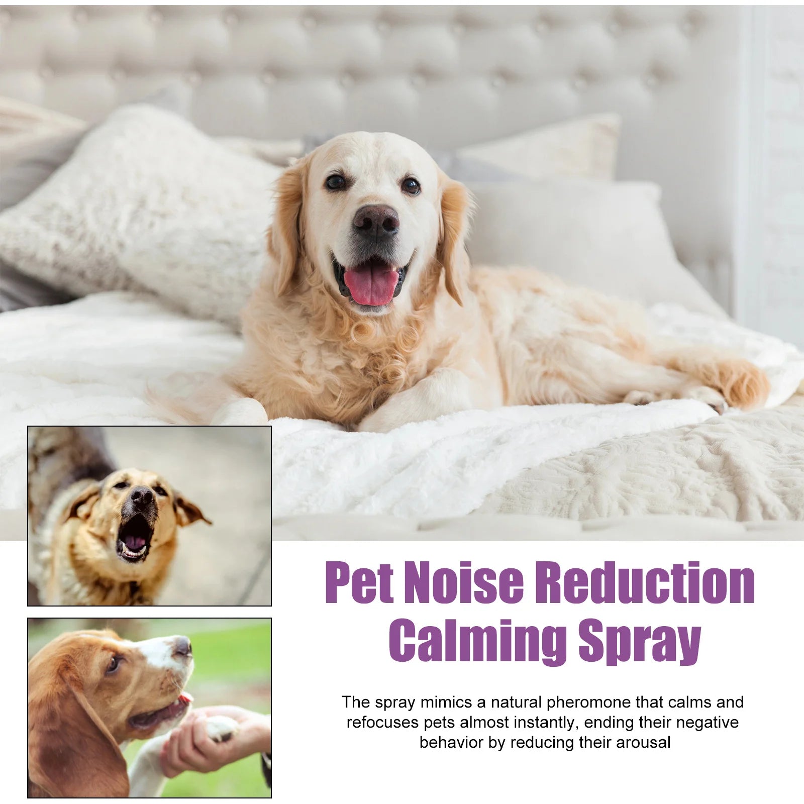 Reduce Excitability Pet Spray Relief