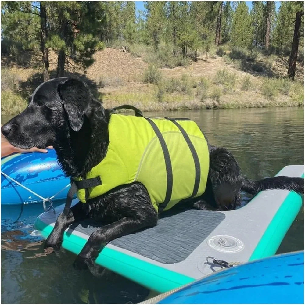Dog Water Ramp