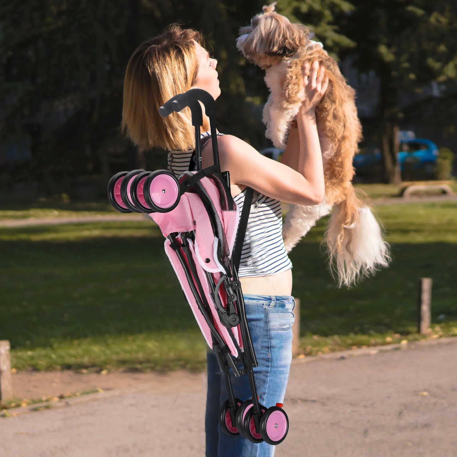 Pet Dog Stroller with Brakes