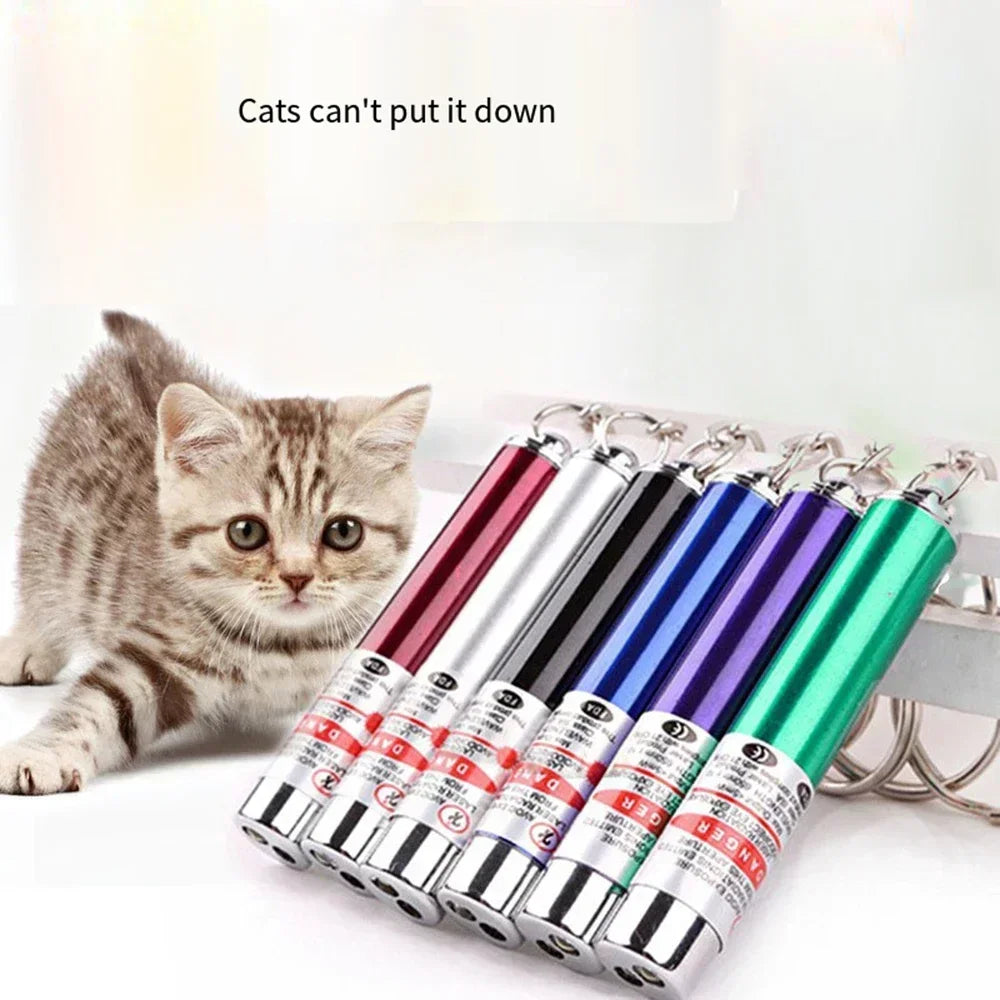 Laser Pointer Interactive Toy