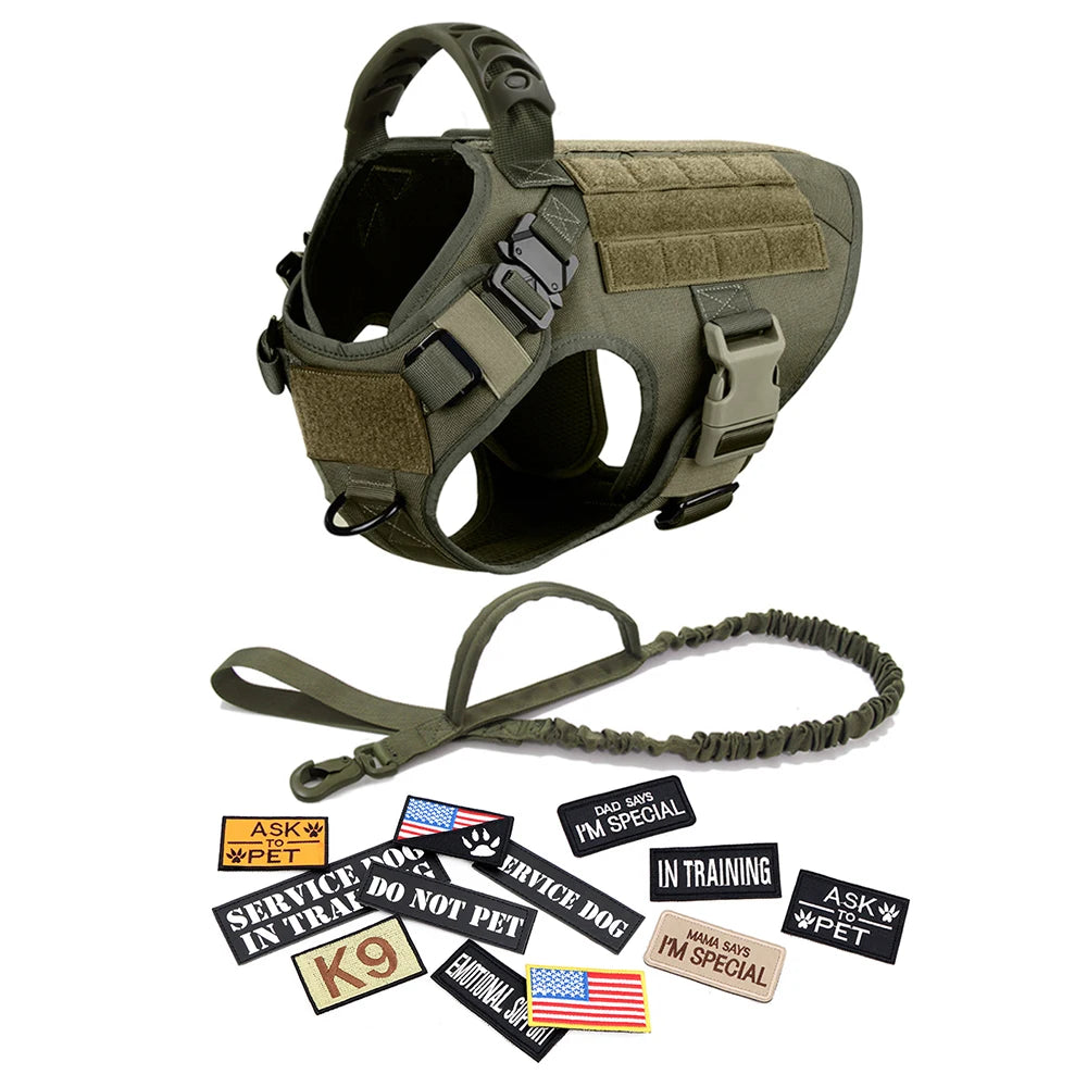 Large Dog Harness and Collar
