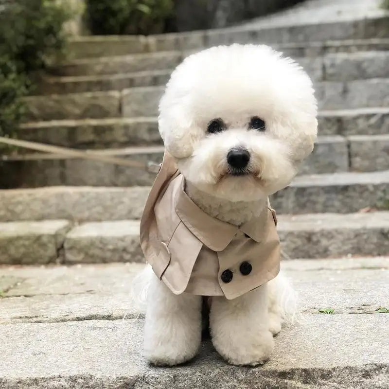 Fashion British Style Dog Cloak