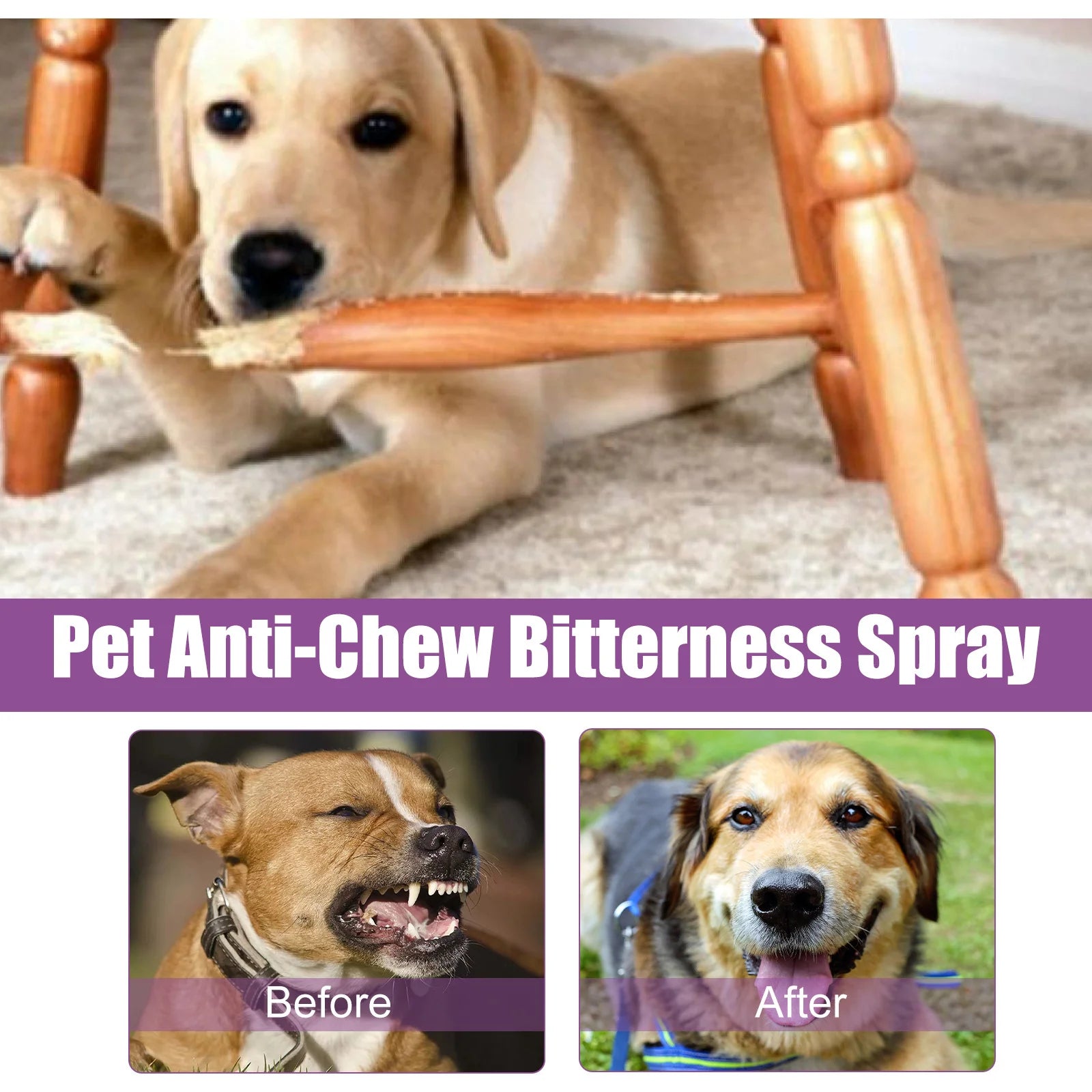 Reduce Excitability Pet Spray Relief