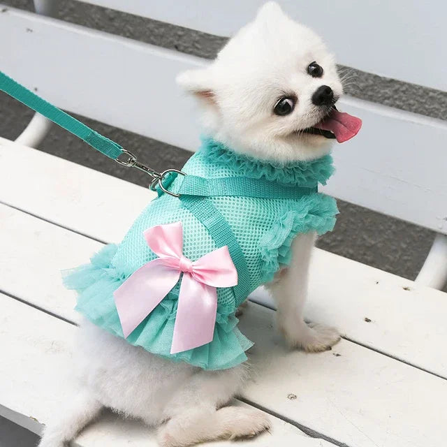 Pet Dress Harness Leash Set