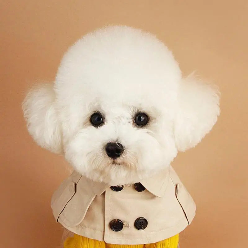 Fashion British Style Dog Cloak
