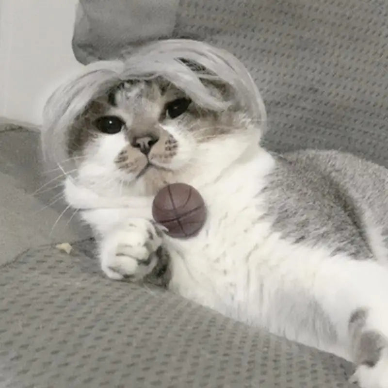 Wigs For Pets Costume Apparel