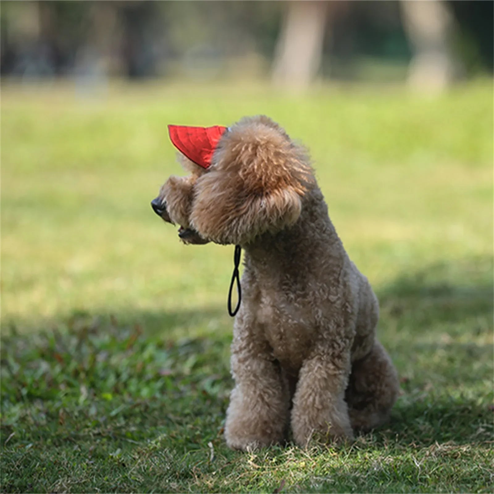 Adjustable Pet Baseball Hat