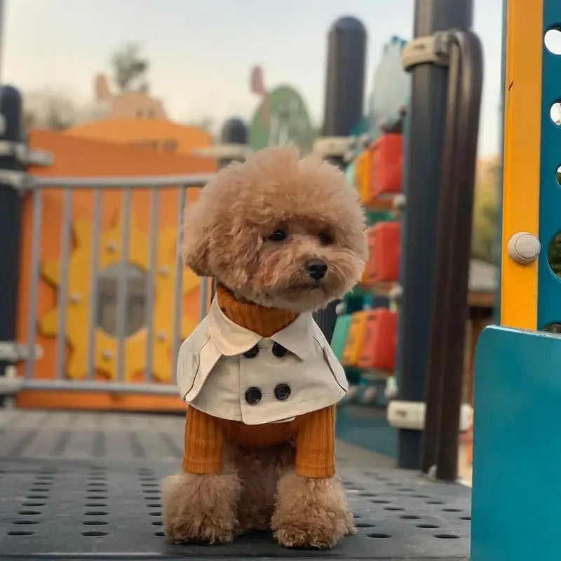 Fashion British Style Dog Cloak