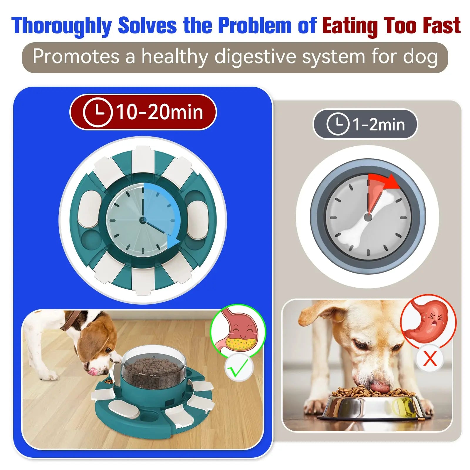 2 in 1 Food Dispenser Slow Feeder