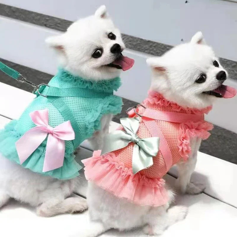 Pet Dress Harness Leash Set