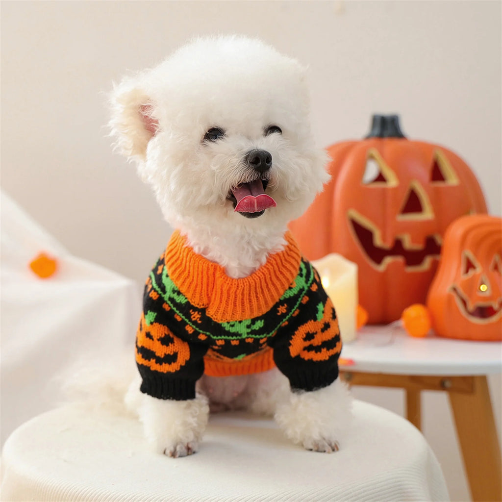 Pumpkin Knitted Sweater