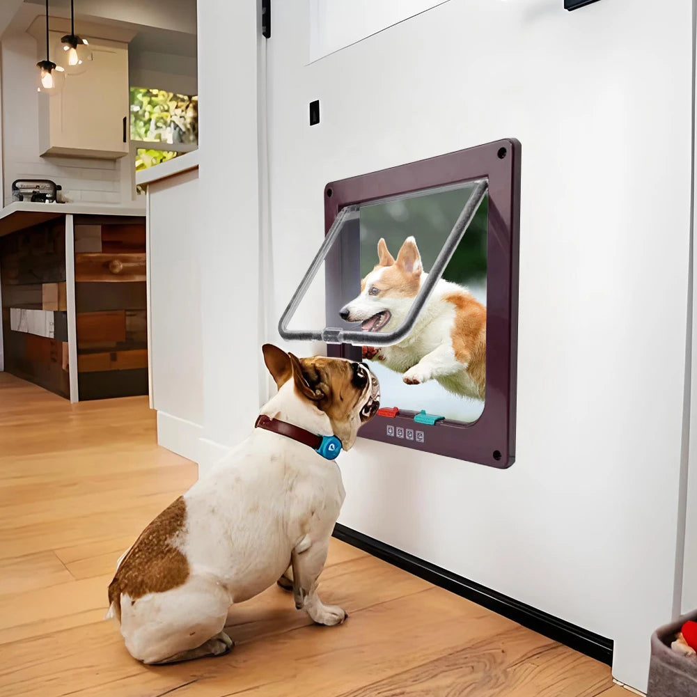 Pet Flap Door with Lock