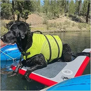 Dog Water Ramp