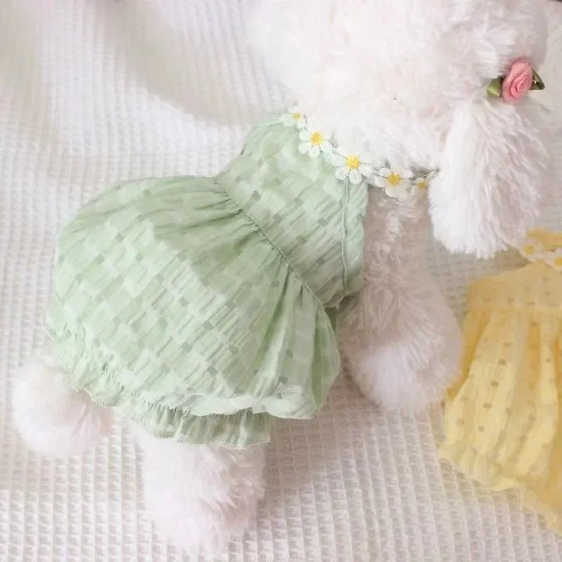 Daisy Dress Pet Clothing