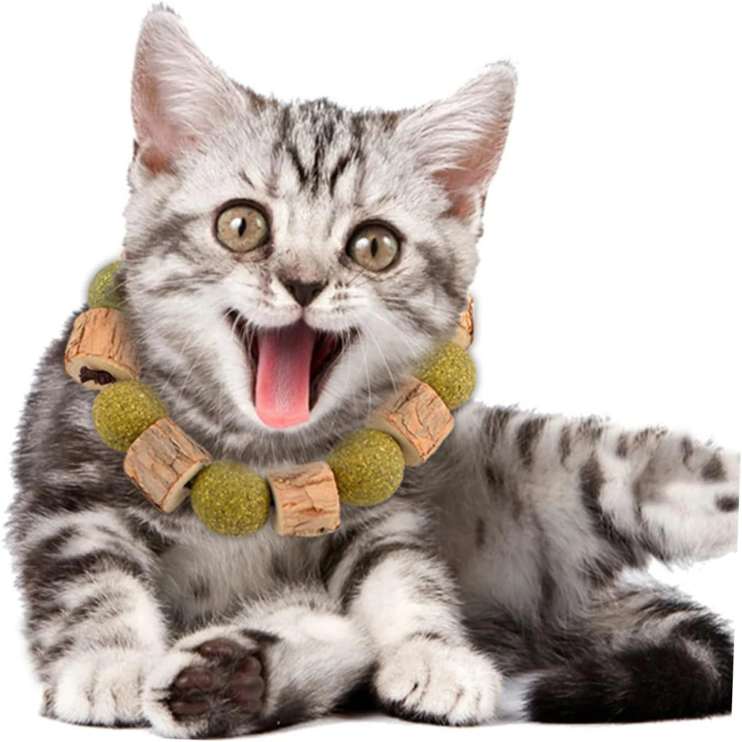 Interactive Toothbrush Toy for Dogs Cats