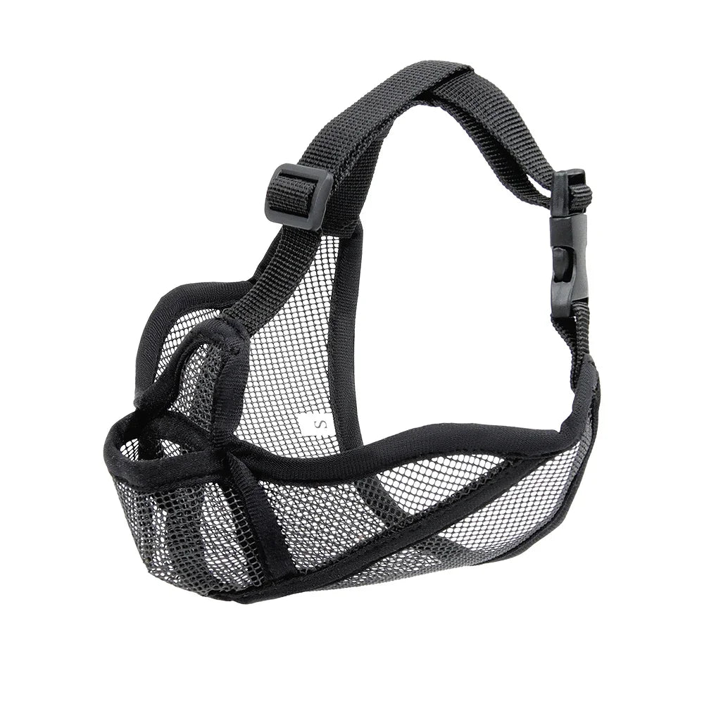 Short-Snouted Dog Muzzle