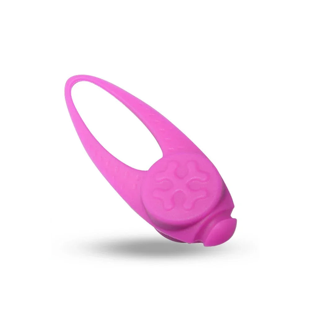 Pet Led Silicone Pendant