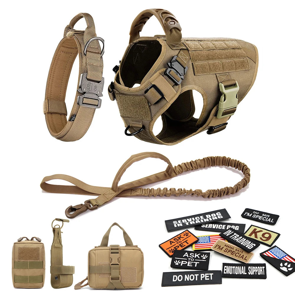 Large Dog Harness and Collar